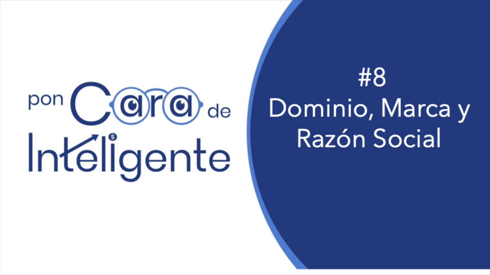 #8 Dominio, Marca y Razón Social